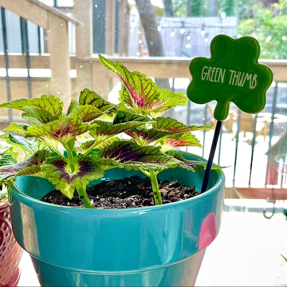 Rae Dunn Garden Marker, Plant Stake, Green Thumb